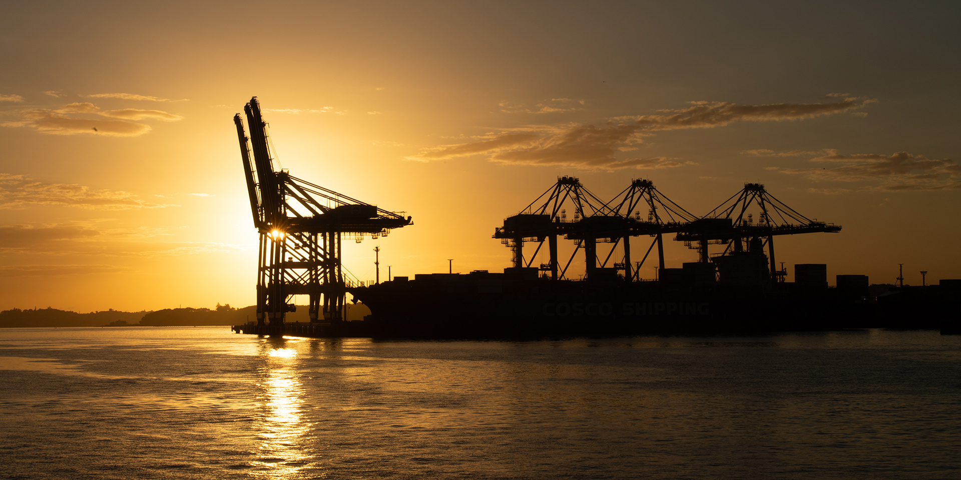 Port of Auckland at sunset