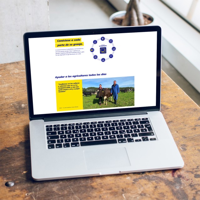 Datamars website in Spanish shown on a laptop